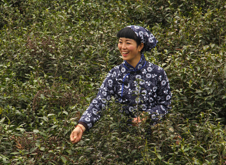侦探的最后一支烟